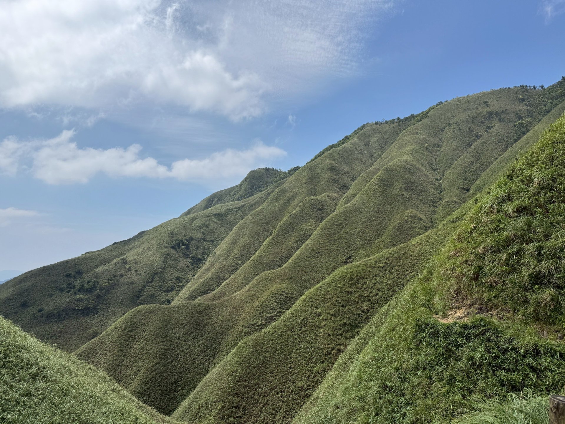 115年5月份一年一度抹茶山挑戰